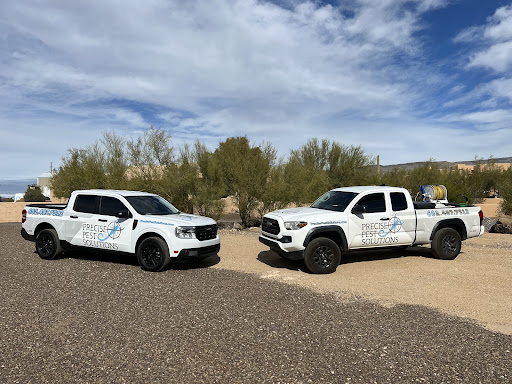 Precise Pest Solutions