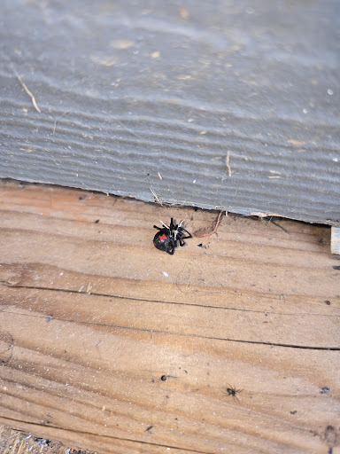 Prime Pest Control