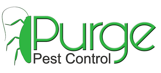 Pest control near me in Florence