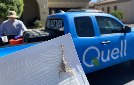 Quell Pest Control