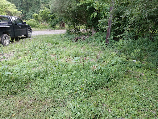Randy's Lawn Care