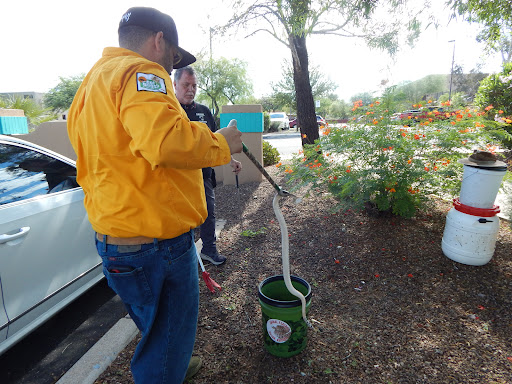 Results Pest & Termite, Bed Bug Control, & Bee Exterminator