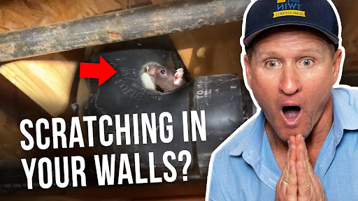 Rodent Stoppers - Rodent & Attic Cleanup Los Angeles