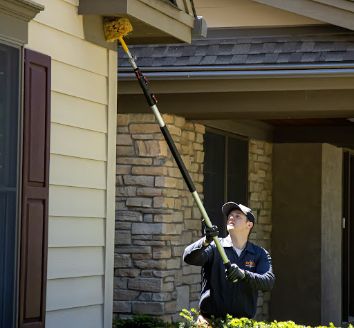 Rove Pest Control