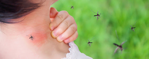 Russell Mosquito Control