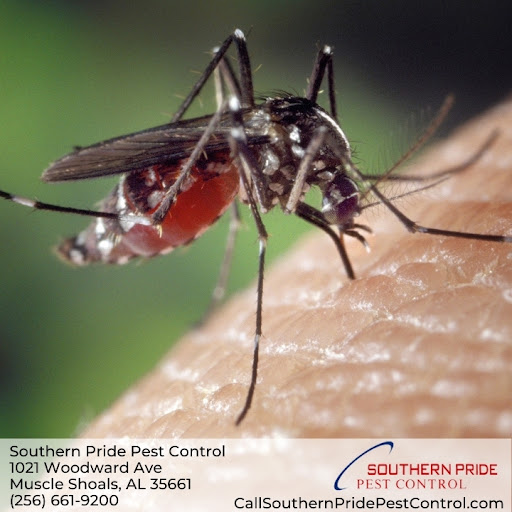 Pest control near me in Double Springs