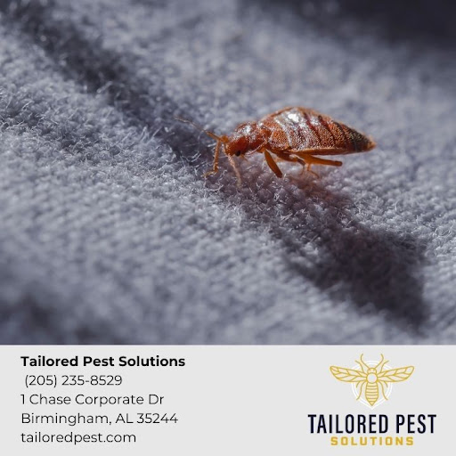 Tailored Pest Solutions