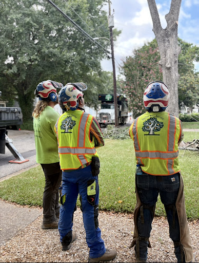 Taylor Tree Services, LLC
