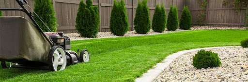 T&T Lawn Maintenance, LLC
