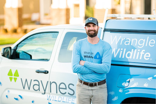 Waynes Pest Control