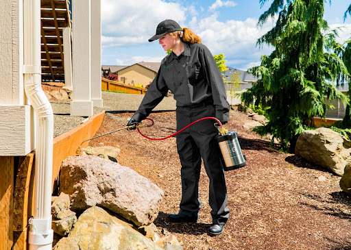 Pest control near me in Ahwatukee Foothills