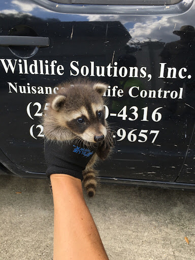 Wildlife Solutions, Inc.