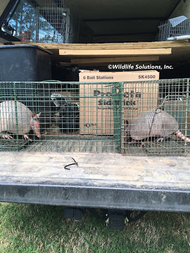 Wildlife Solutions, Inc.